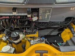 Jungheinrich EFG 320 GE115-350ZZ