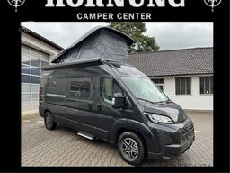 SUNLIGHT Cliff XX 600 RT   Digitalp.