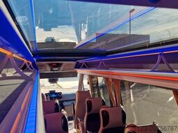 MERCEDES-BENZ 519 und 517 Glasdach XXL 20 Sitze Stock