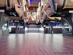 MERCEDES-BENZ 519 und 517 Glasdach XXL 20 Sitze Stock