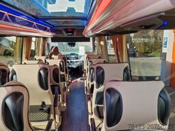 MERCEDES-BENZ 519 und 517 Glasdach XXL 20 Sitze Stock