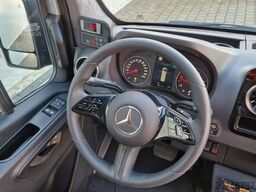 MERCEDES-BENZ 519 und 517 Glasdach XXL 20 Sitze Stock