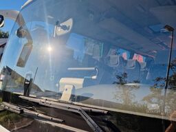 TEMSA Prestij SX Novo Lux Daily