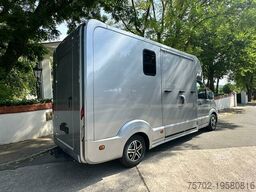 MAN TGE 1-2 Pferde 180 PS Automatik Hengstversion