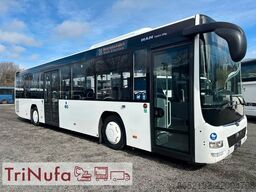 MAN A78 LE Ü | Klima | 314.051 KM | Retarder |
