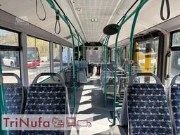 MERCEDES-BENZ O 530 Citaro | Klima | HU  |