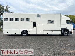 VOLVO FH 12 Pferdetransporter | 401.304 KM | 6 Pferde