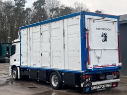 MERCEDES-BENZ Actros 1836 EU6 Voll-Luft 2.Stock Menke 29m²