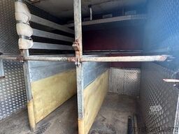 MERCEDES-BENZ 814 Pferdetransporter LKW 3-4 Pferde Wohnabt