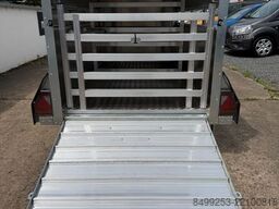 IFOR WILLIAMS P8G+Vieh+ 242cm x 123cm x 120cm