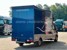 MERCEDES-BENZ Sprinter 319 CDi KHG Mystic Pferdetransporter