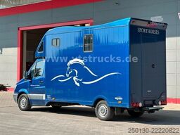 MERCEDES-BENZ Sprinter 319 CDi KHG Mystic Pferdetransporter