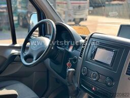 MERCEDES-BENZ Sprinter 319 CDi KHG Mystic Pferdetransporter