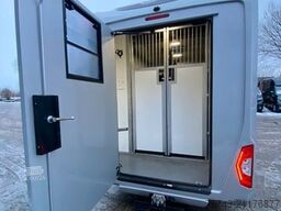 RENAULT Master STX Haras 5 Sitzer TÜV NEU