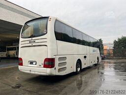MAN Lion's Coach