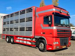 DAF XF 95.430 BERDEX  3 decks. Water, fans, Scales!...