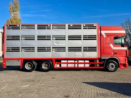 DAF XF 95.430 BERDEX  3 decks. Water, fans, Scales!...
