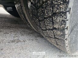 SCANIA SCANIA R730 BIGA FRIGO EURO 6