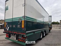 SCANIA SCANIA R730 BIGA FRIGO EURO 6