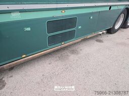 SCANIA SCANIA R730 BIGA FRIGO EURO 6