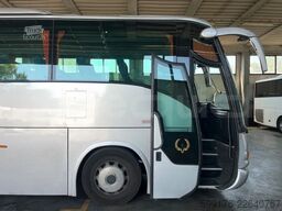 Iveco Domino