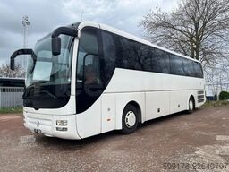 Man Lion's Coach