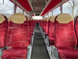 Man Lion's Coach