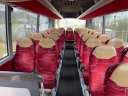 Man Lion's Coach