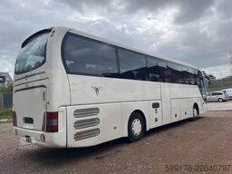 Man Lion's Coach