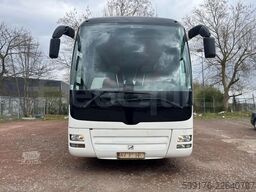 Man Lion's Coach