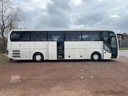 Man Lion's Coach