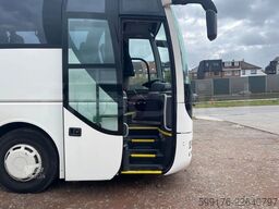Man Lion's Coach