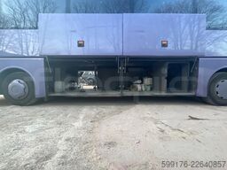 Man Lion's Coach