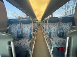 Man Lion's Coach