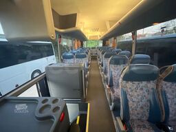 Man Lion's Coach