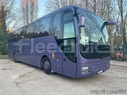 Man Lion's Coach