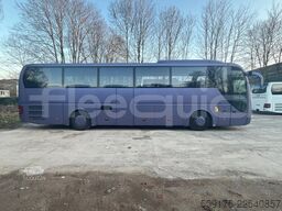 Man Lion's Coach