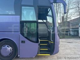 Man Lion's Coach
