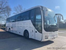 Man Lion's Coach