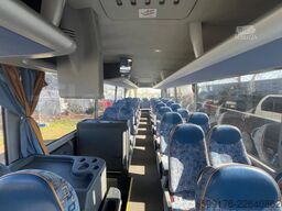 Man Lion's Coach