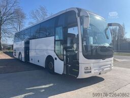 Man Lion's Coach