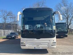 Man Lion's Coach