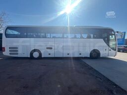 Man Lion's Coach