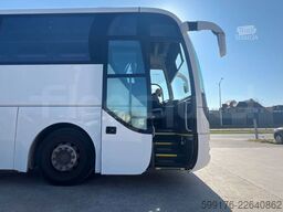 Man Lion's Coach