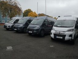 ROLLER TEAM Livingstone Go 2 * Safety+Tech Pakete * Extras