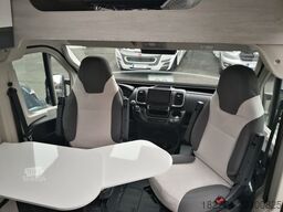 ROLLER TEAM Livingstone Go 2 * Safety+Tech Pakete * Extras