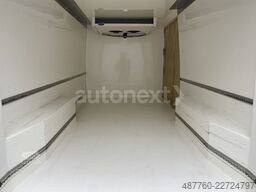 MERCEDES-BENZ Sprinter 315 *Carrier Tiefkühler -20°* 360° (345