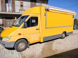 Mercedes-Benz 308