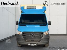 MERCEDES-BENZ Sprinter 317 CDI  *Tiefkühlkoffer*Seitentür*AUT