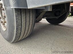 KÓGEL SN 24 | SAF DISC